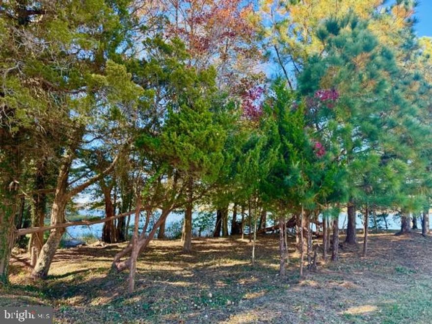 Exceptional Waterfront Lot in Glen Riddle – Build Your Dream Estate. Discover one of the last remaining premier waterfront parcels in the sought-after gated community of Glen Riddle. Nestled on .39 acres along picturesque Turville Creek, this rare lot offers over 8,000 square feet of buildable footprint and 50-foot setbacks from the bay—a unique opportunity for expansive, custom home design. Enjoy breathtaking west-facing sunset views, privacy with community-owned green space on the western border. The lot allows you to bring your own builder with no required timeline to build. Architectural design subject to association approval. Glen Riddle offers world-class amenities: a community boat ramp and docks, outdoor pool, tennis courts, state-of-the-art fitness center, clubhouse, golf course and game room.  Now’s your chance to invest in the coastal lifestyle and create a stunning waterfront retreat tailored to your vision.