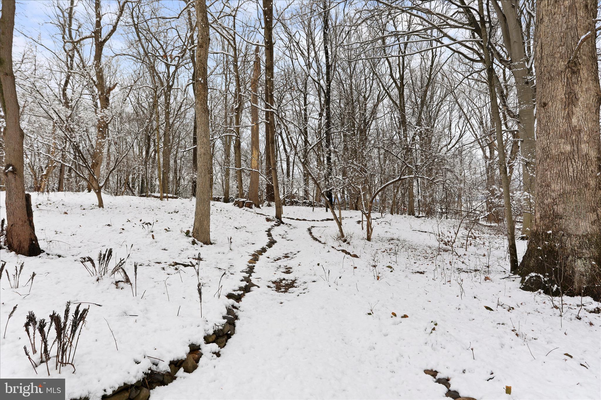 ROXBURY HILLS - Residential