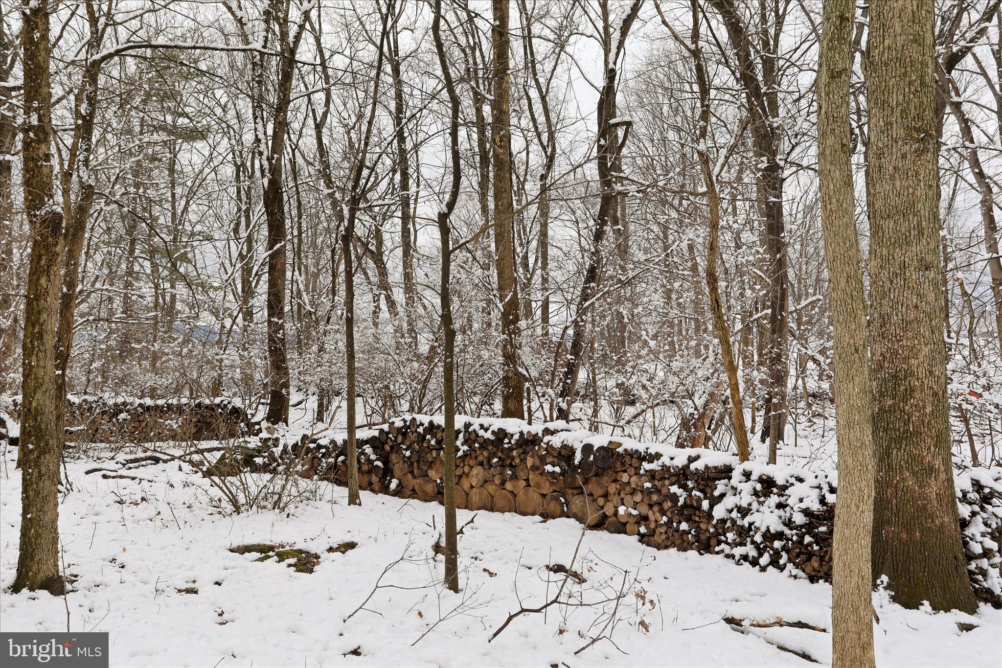 ROXBURY HILLS - Residential