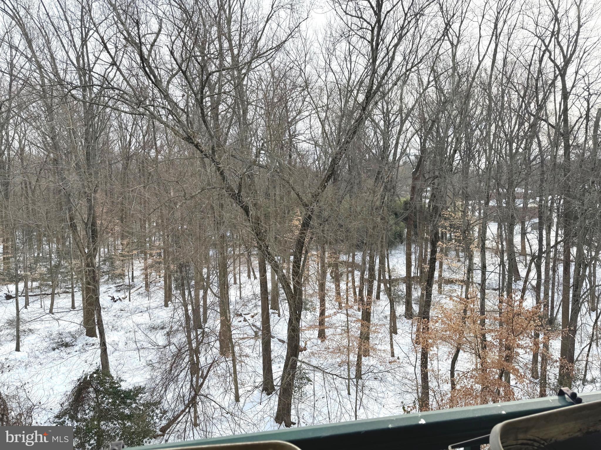 SAINTSBURY PLAZA - Residential Lease