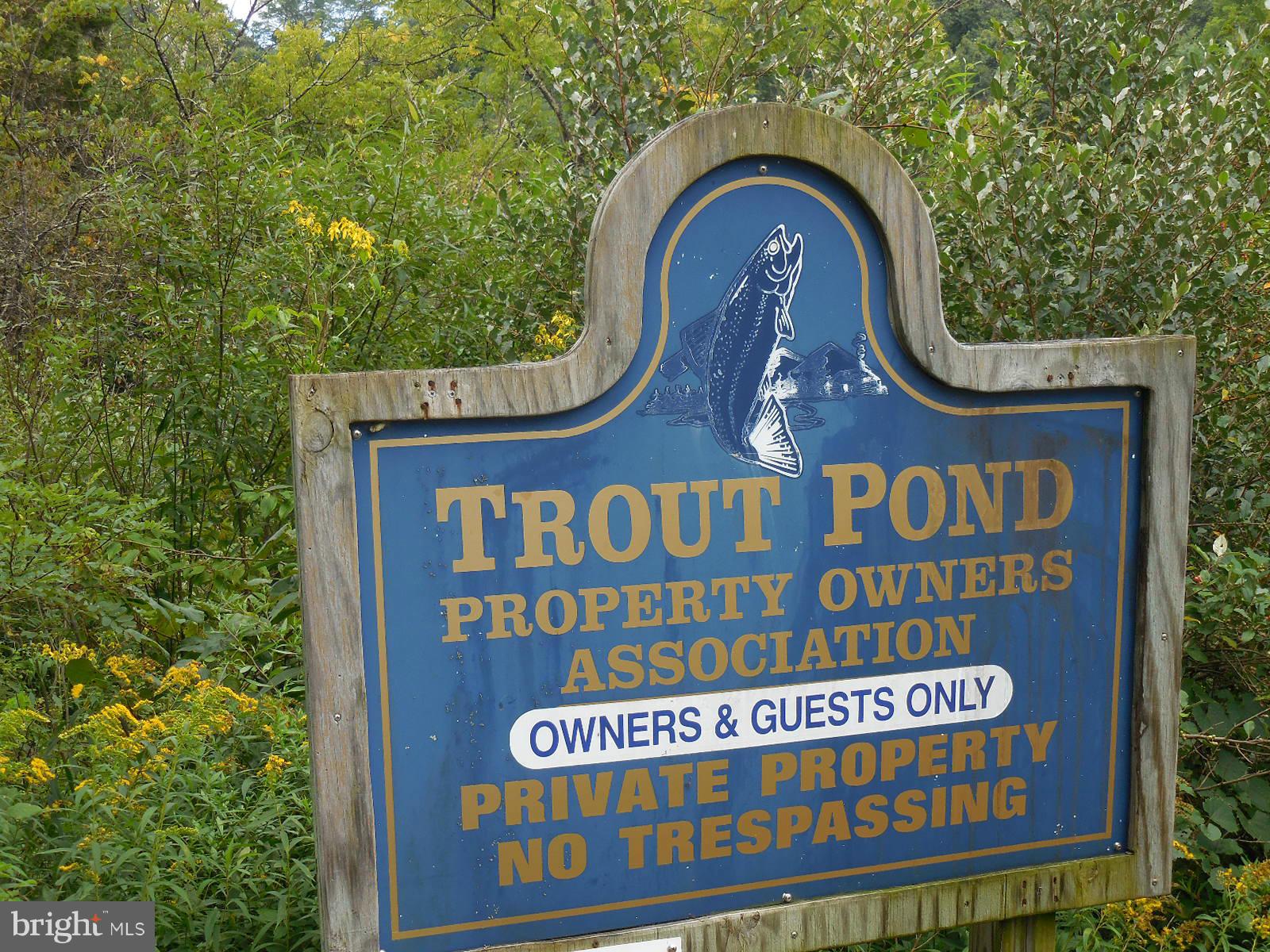 TROUT POND - Land