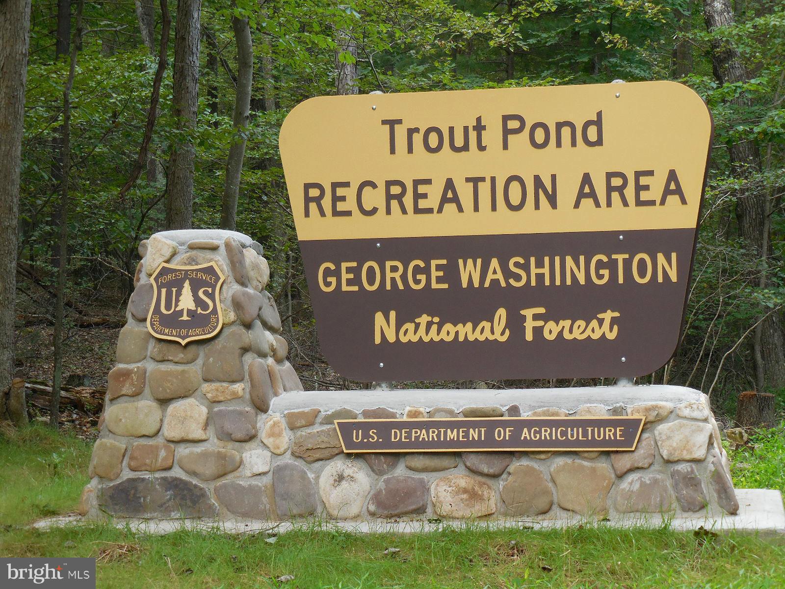 TROUT POND - Land