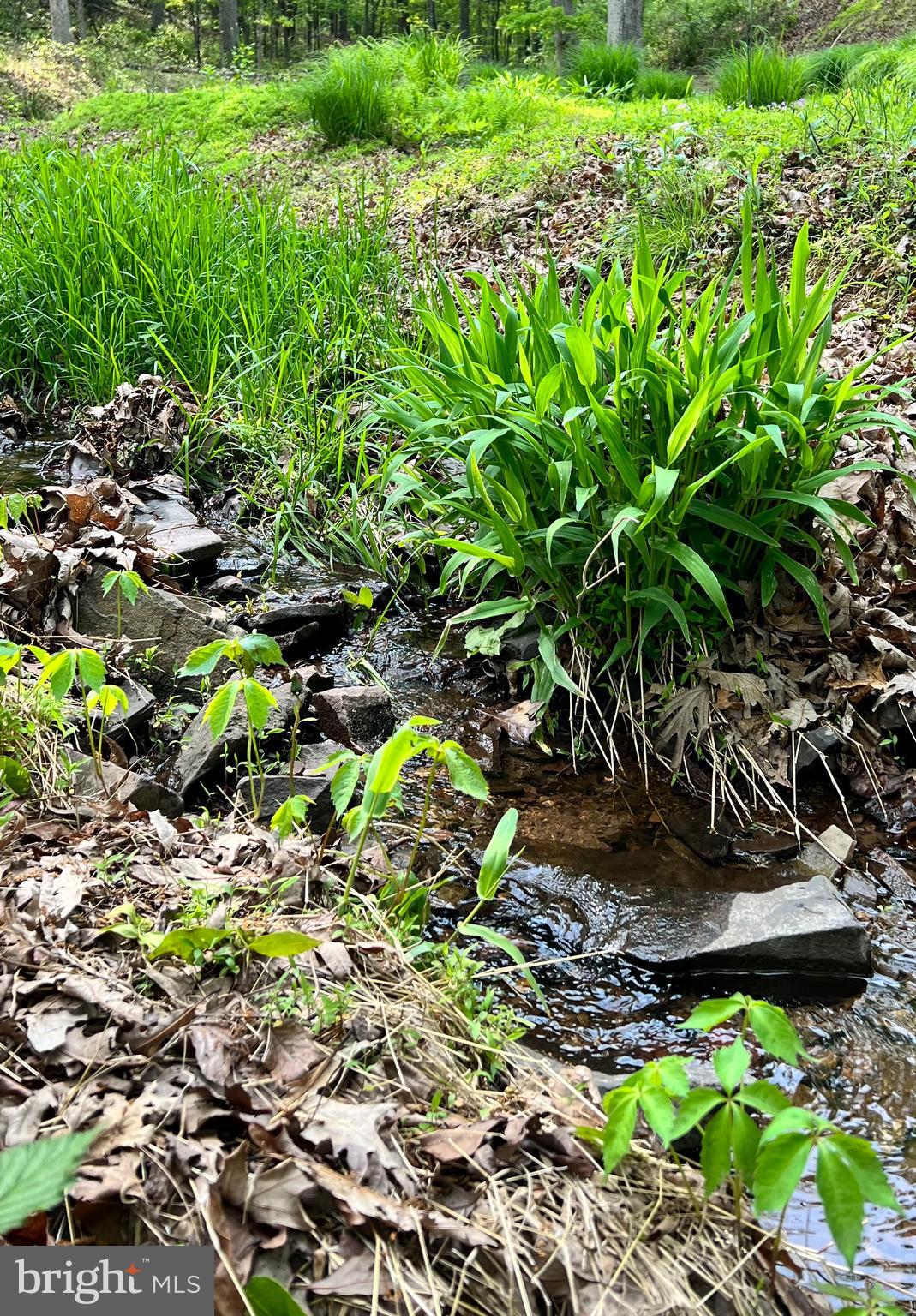 SALEM VIEW - Residential