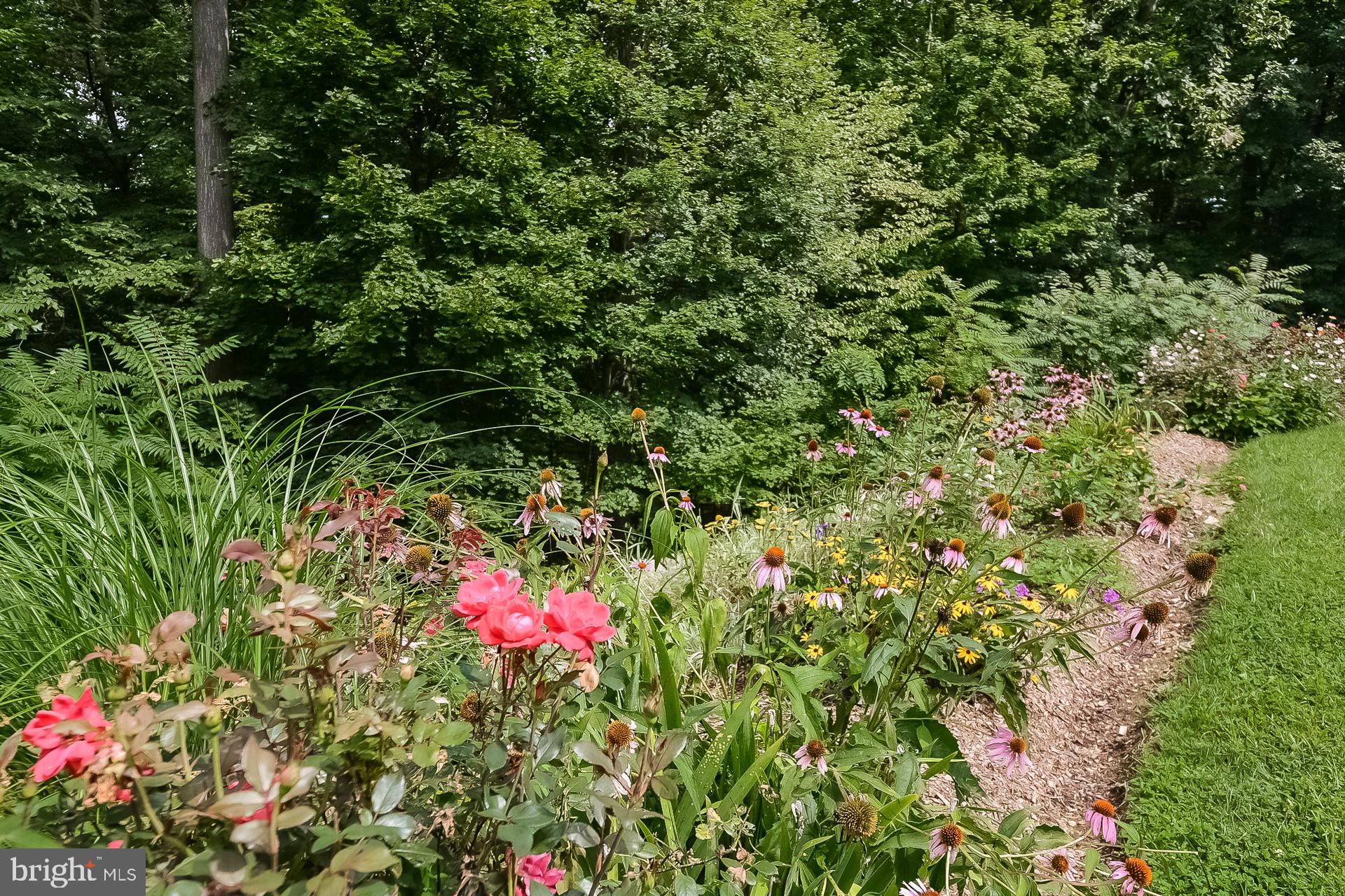 DOUGLASS LANE - Residential