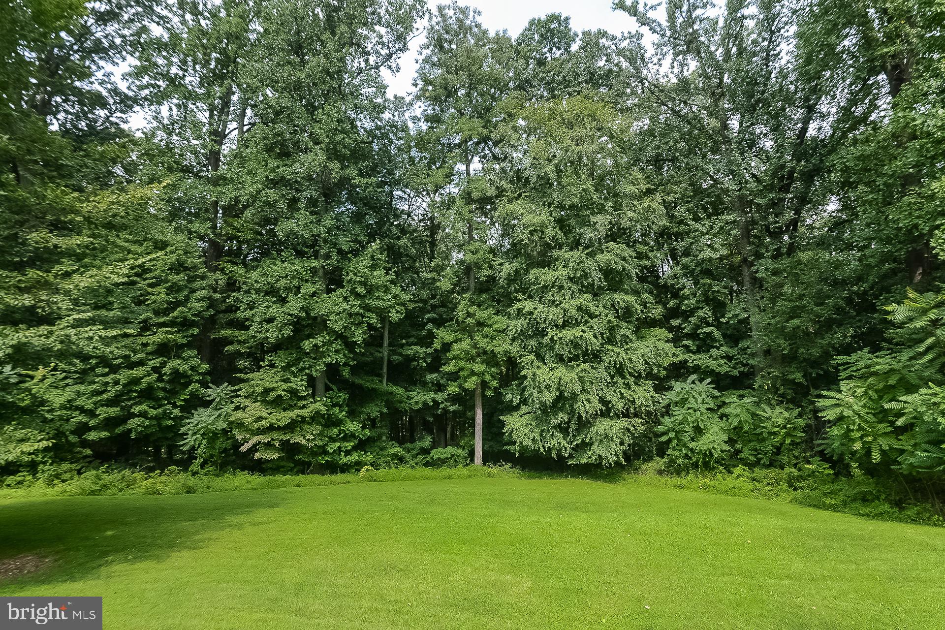 DOUGLASS LANE - Residential