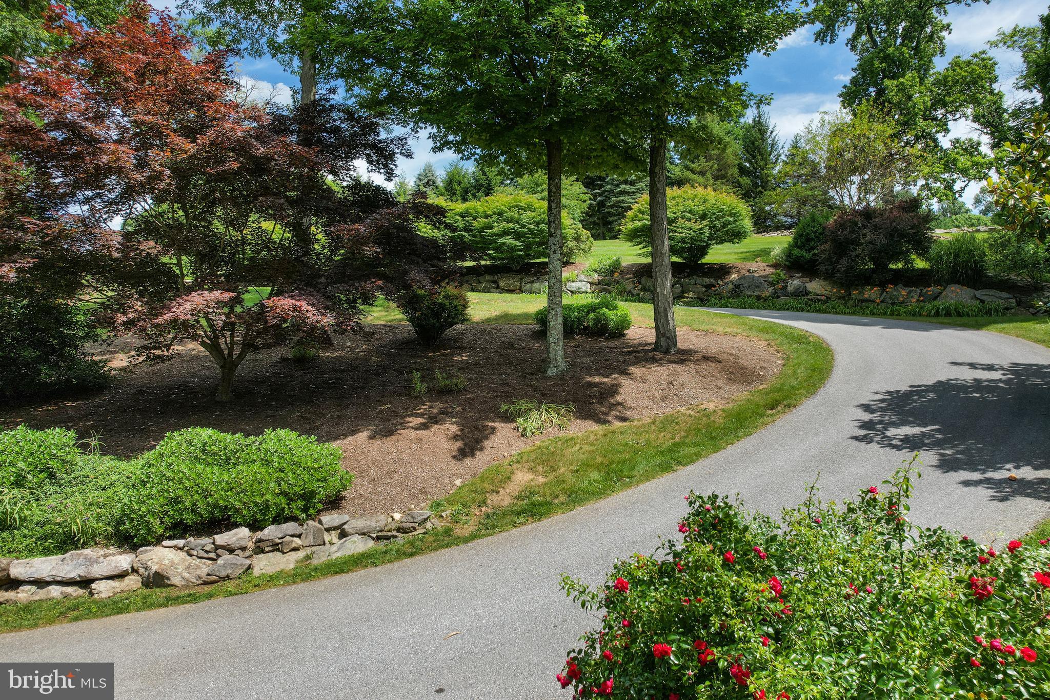 DOUGLASS LANE - Residential