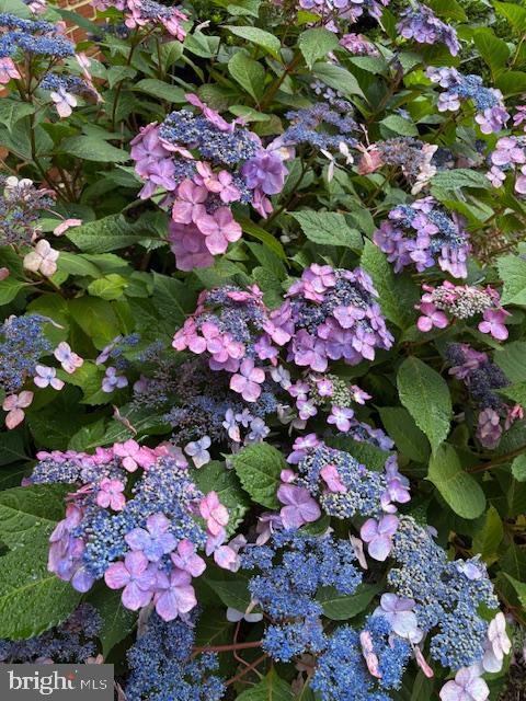 641 S GREENBRIER STREET