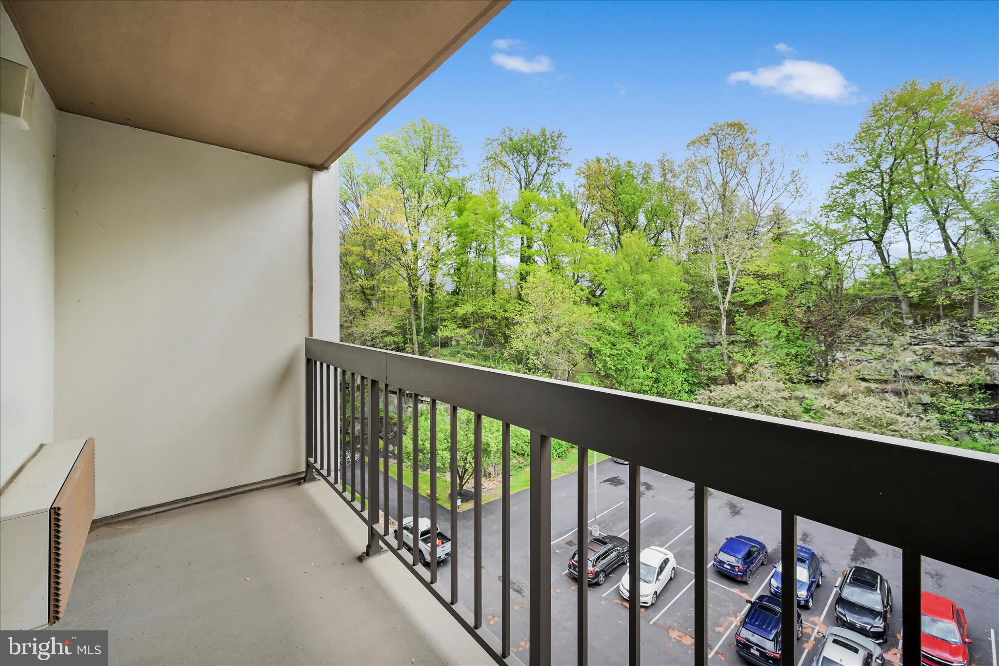 CRUM CREEK VALLEY - Residential