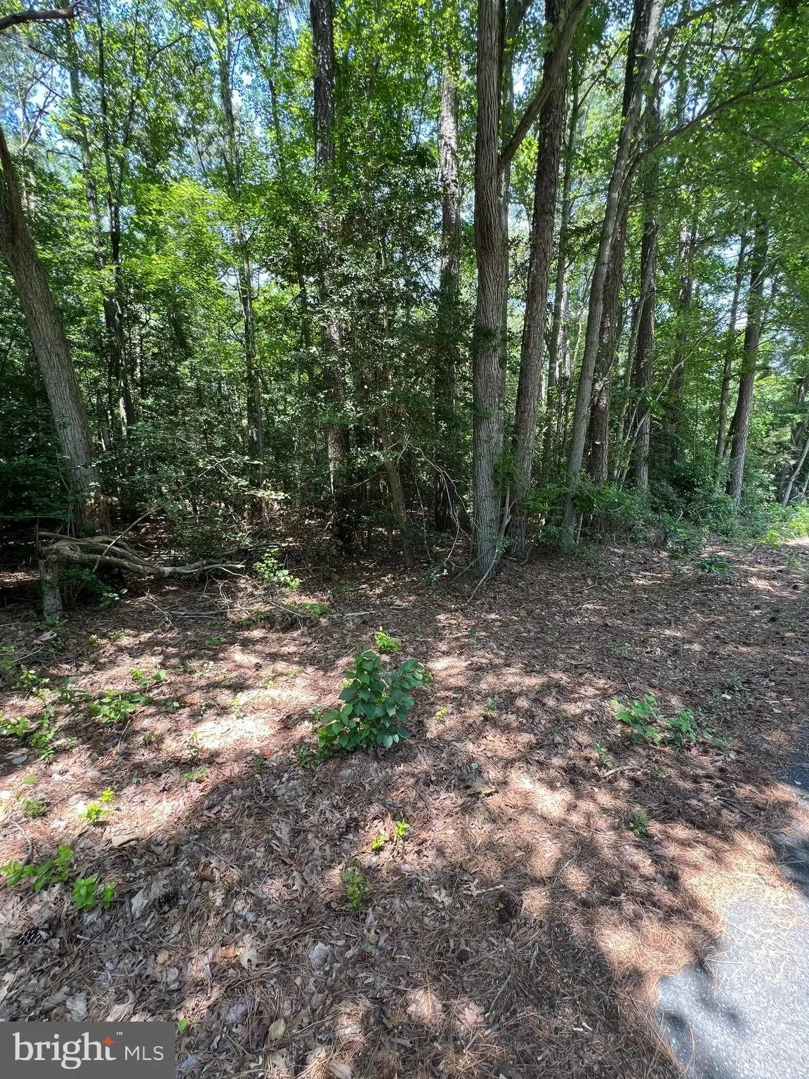 Additional image 4 of 109 W Vega Way Lot 8, Milton, DE 19968
