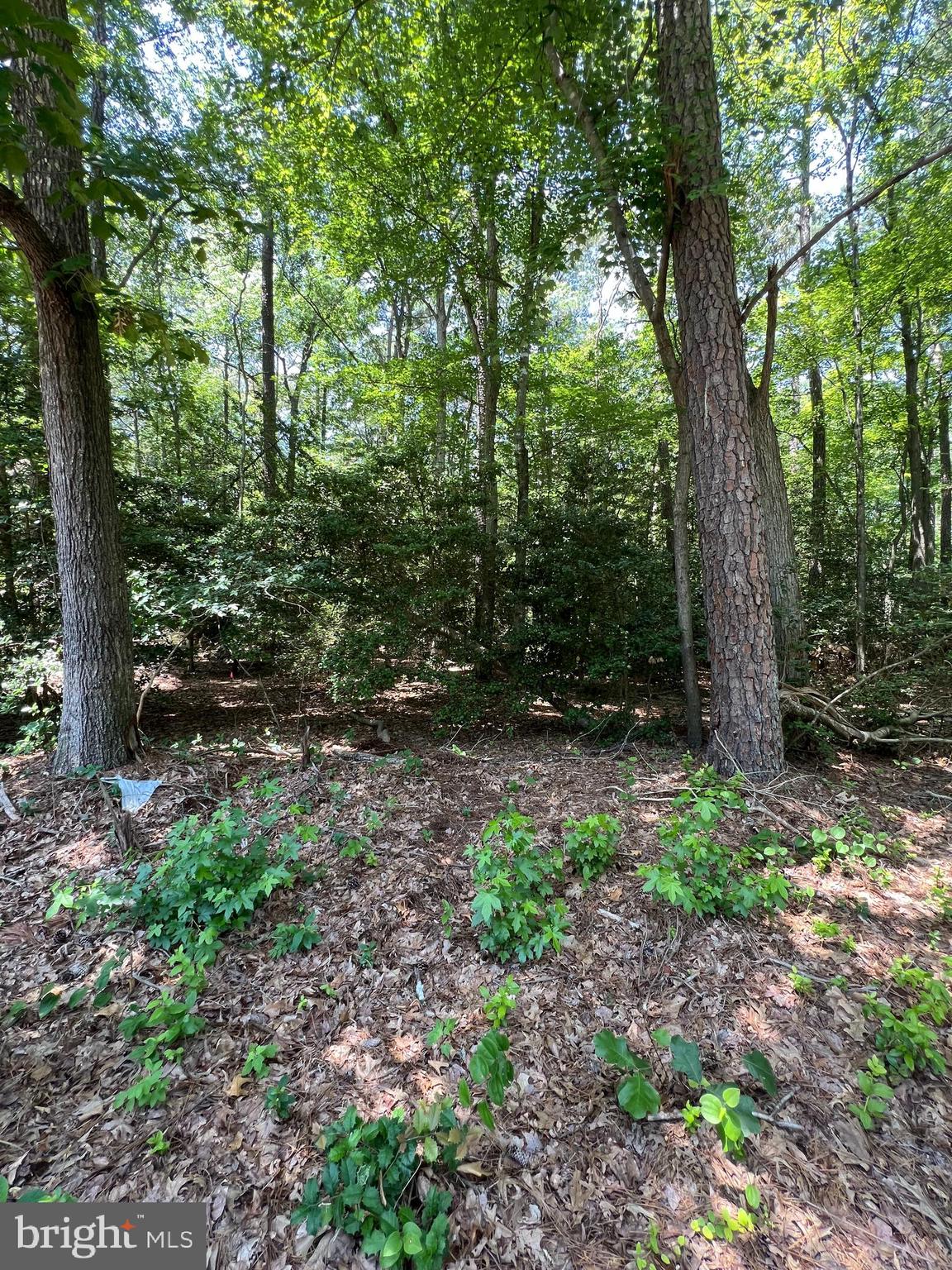 109 W VEGA WAY LOT 8