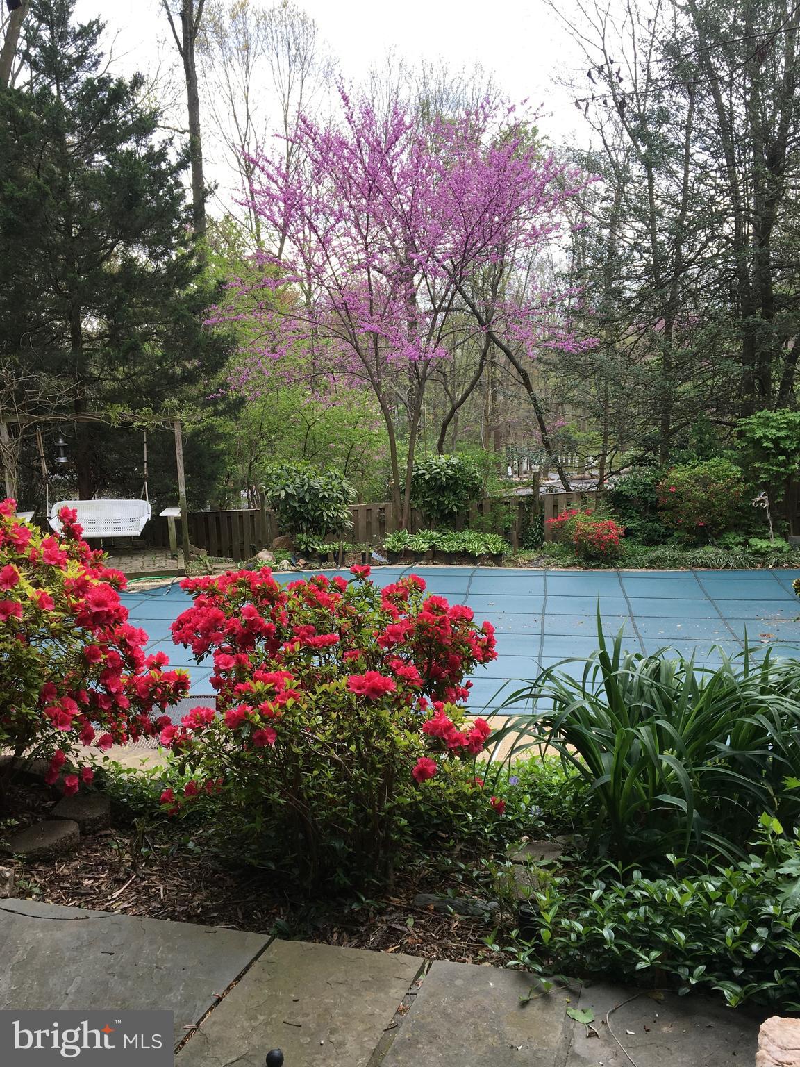 KENWOOD PARK - Residential