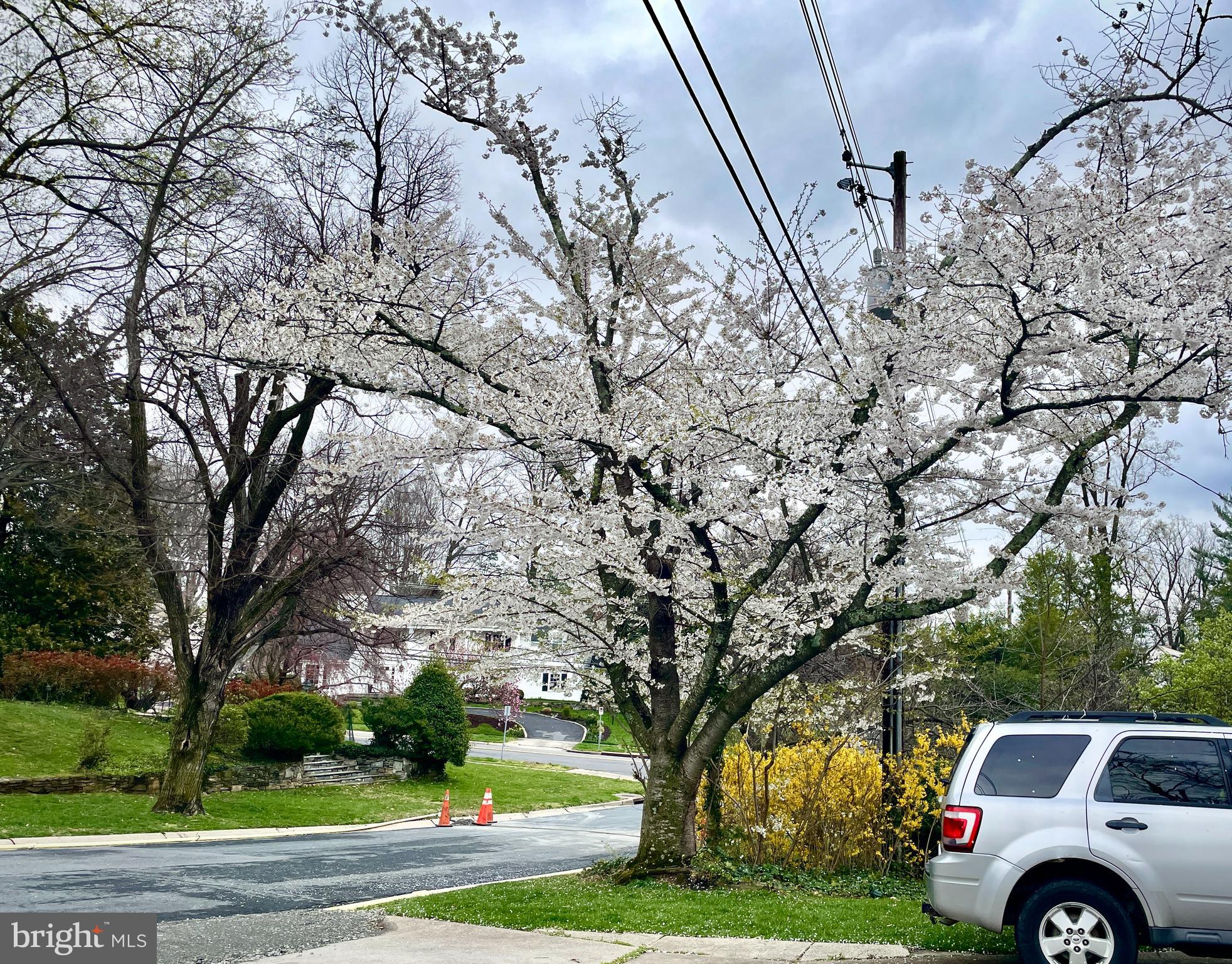 KENWOOD PARK - Residential