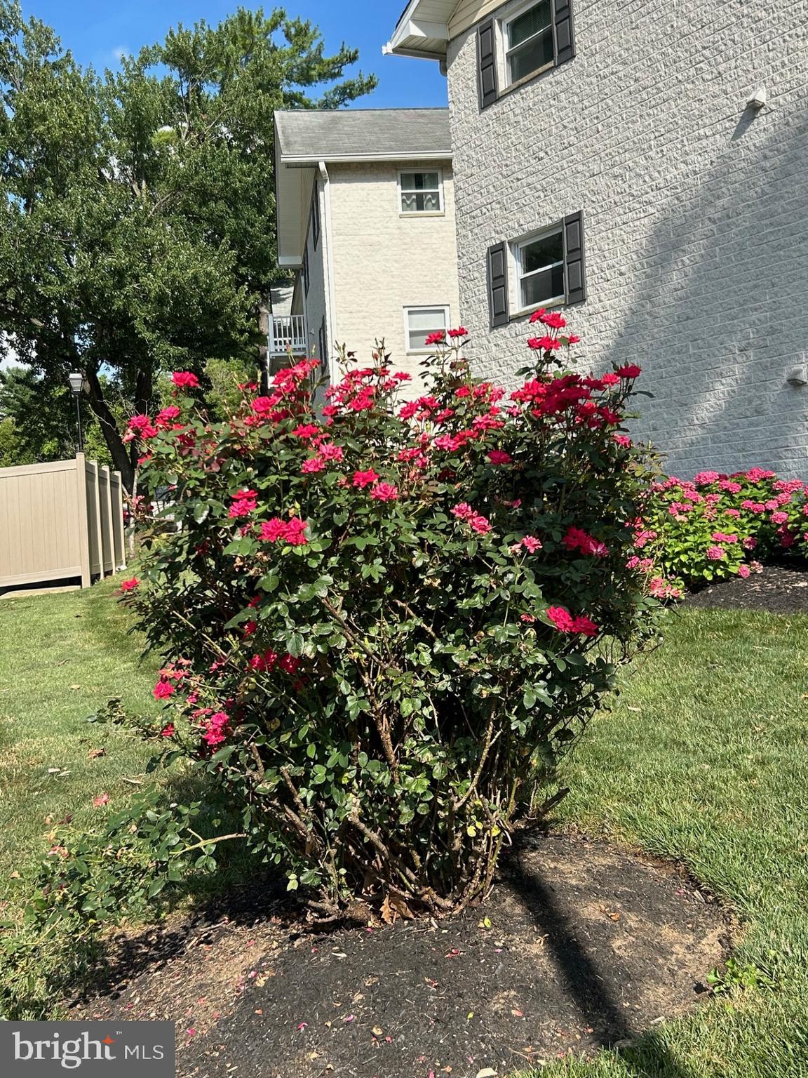 6 WARREN LODGE CT 2D