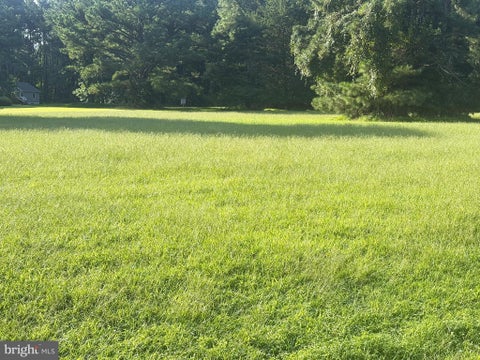 Vacant Land For Sale - LOT 298 Underway Road<br/> GREENBACKVILLE, VA 23356