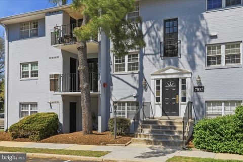 7097 SPRING GARDEN DRIVE 101 SPRINGFIELD VA 22150