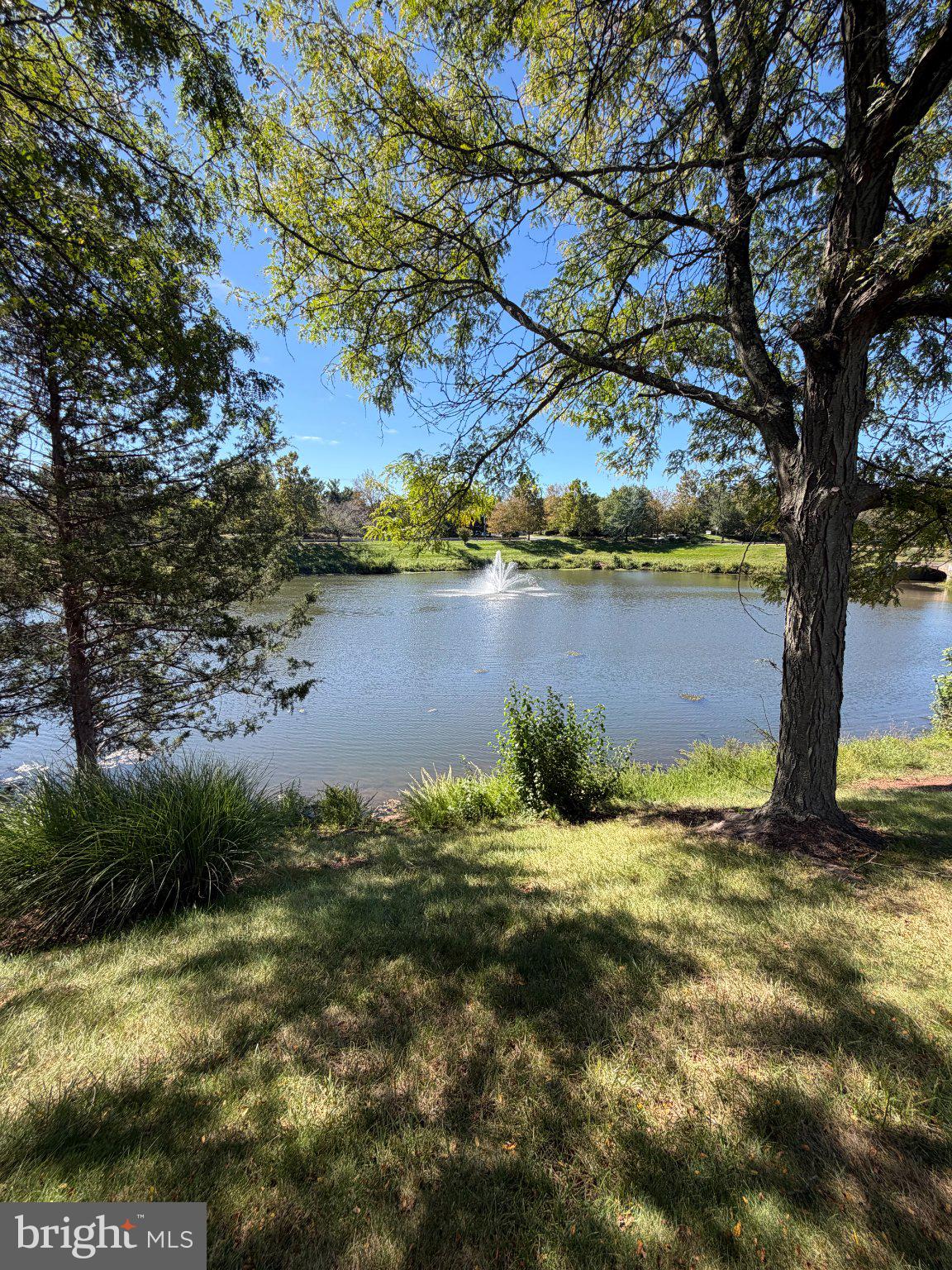 43349 CHOKEBERRY SQUARE