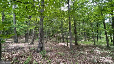Vacant Land For Sale - LOT 61 Bristol Springs Way<br/> SLANESVILLE, WV 25444