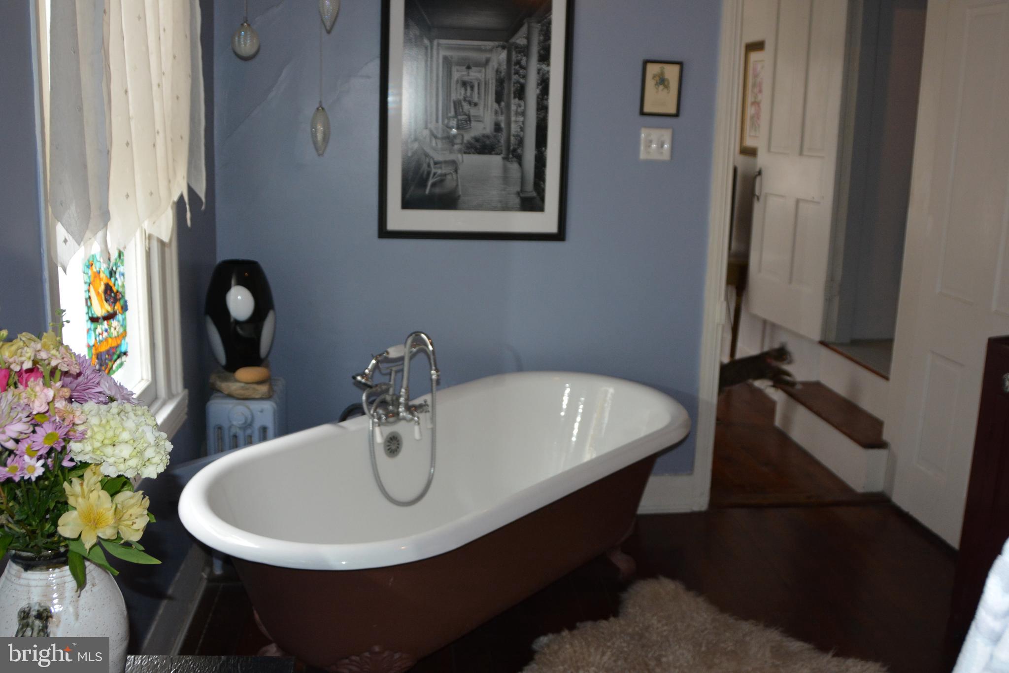 DOWNTOWN FREDERICK - Residential Lease