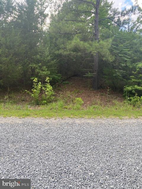 13815 ANNA WOODS COURT