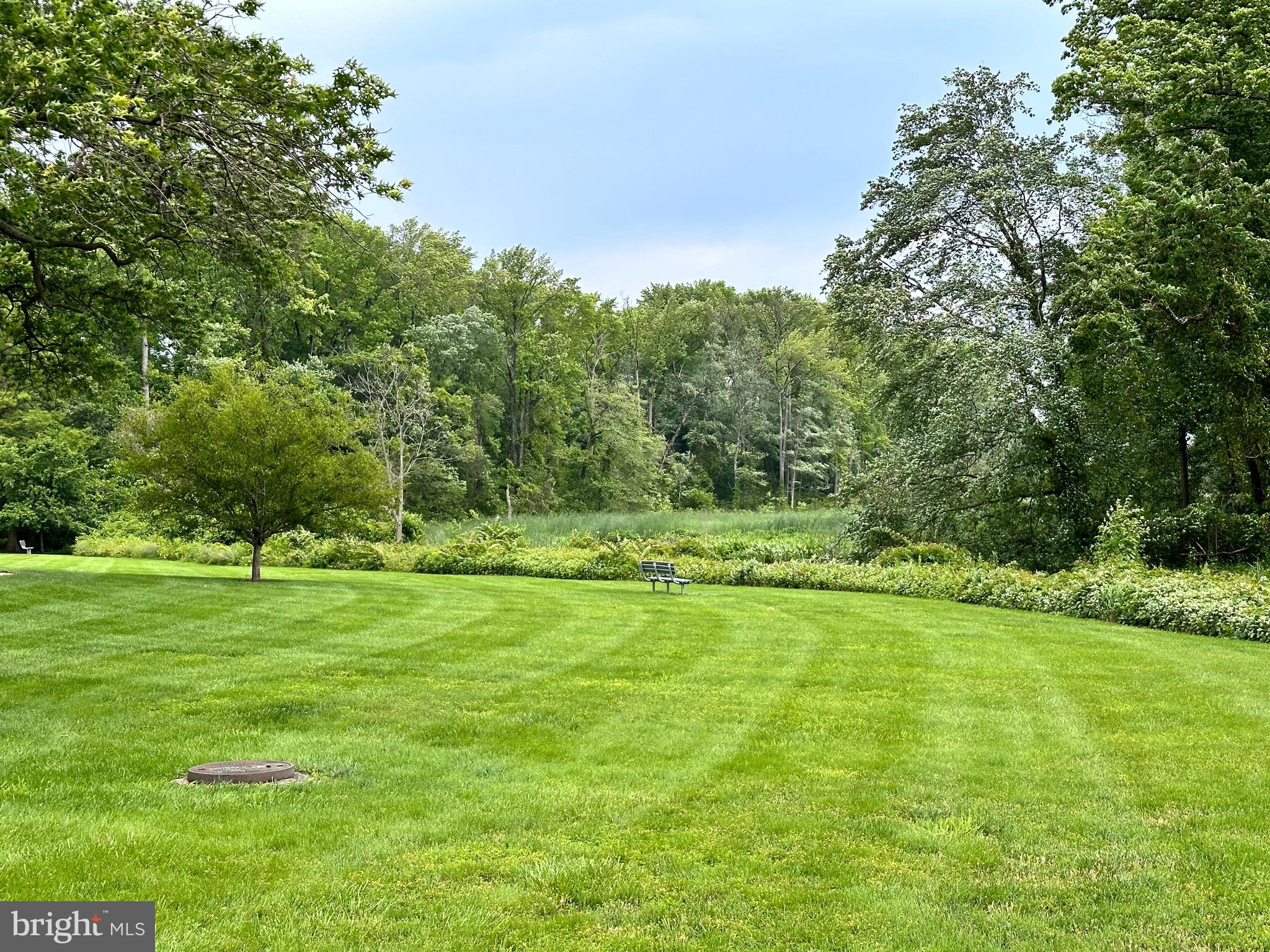 RIVER TOWERS - Residential
