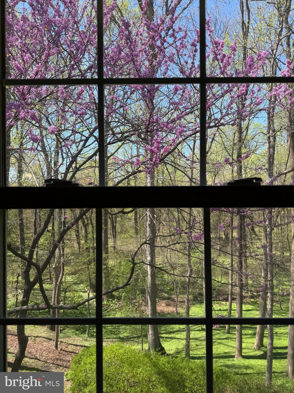 HAMMOND VILLAGE - Residential