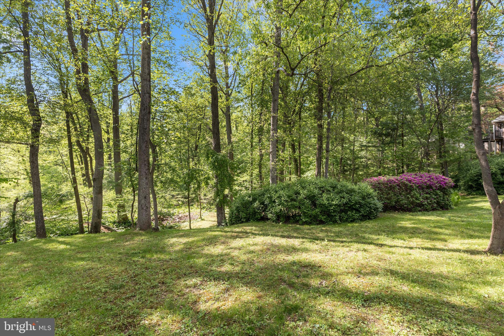 HAMMOND VILLAGE - Residential