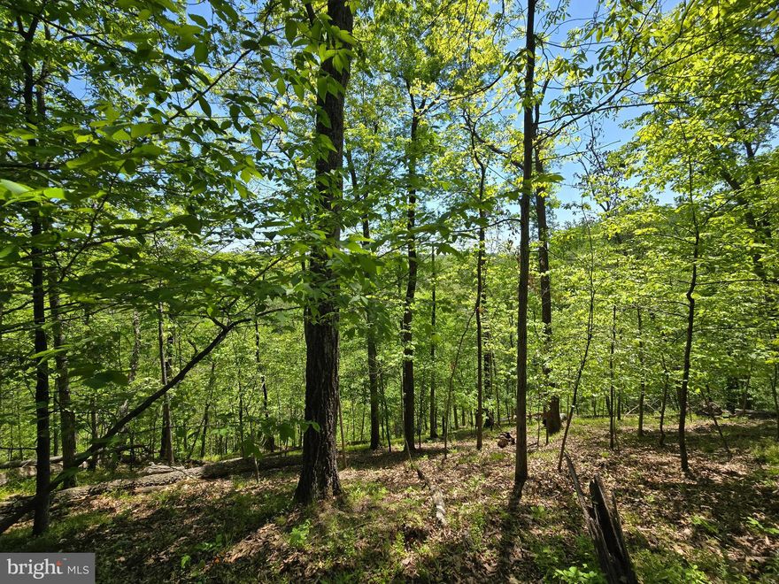 Ready to build your dream home in the highly desirable community of Lake Linganore? This peaceful lot in the Pinehurst neighborhood is just waiting for you! Bring your builder and your plans, or purchase and hold the property for a future build while enjoying access to all of the incredible amenities the community has to offer - pools, lakes with beach access, trails, tennis courts, community concert series, food truck and farmers markets, private fireworks and so much more! Don’t miss out on your chance to have it all in this amazing location!