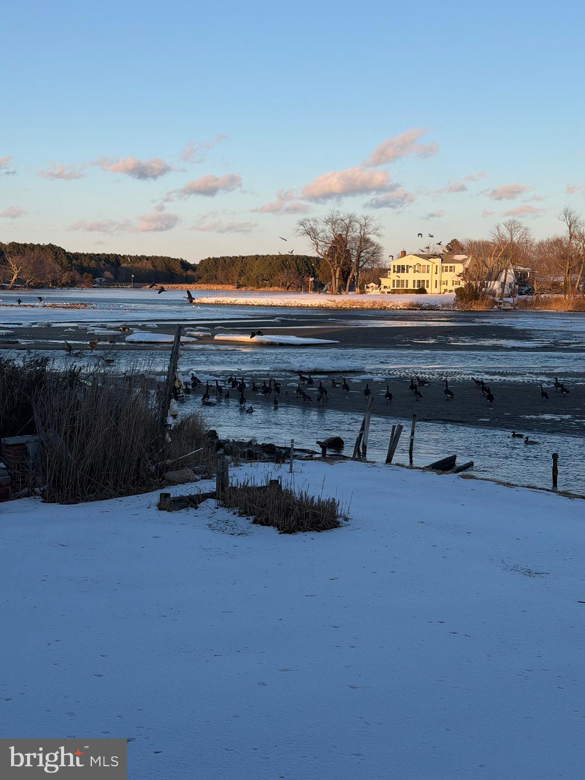 TOWER GARDENS - Residential