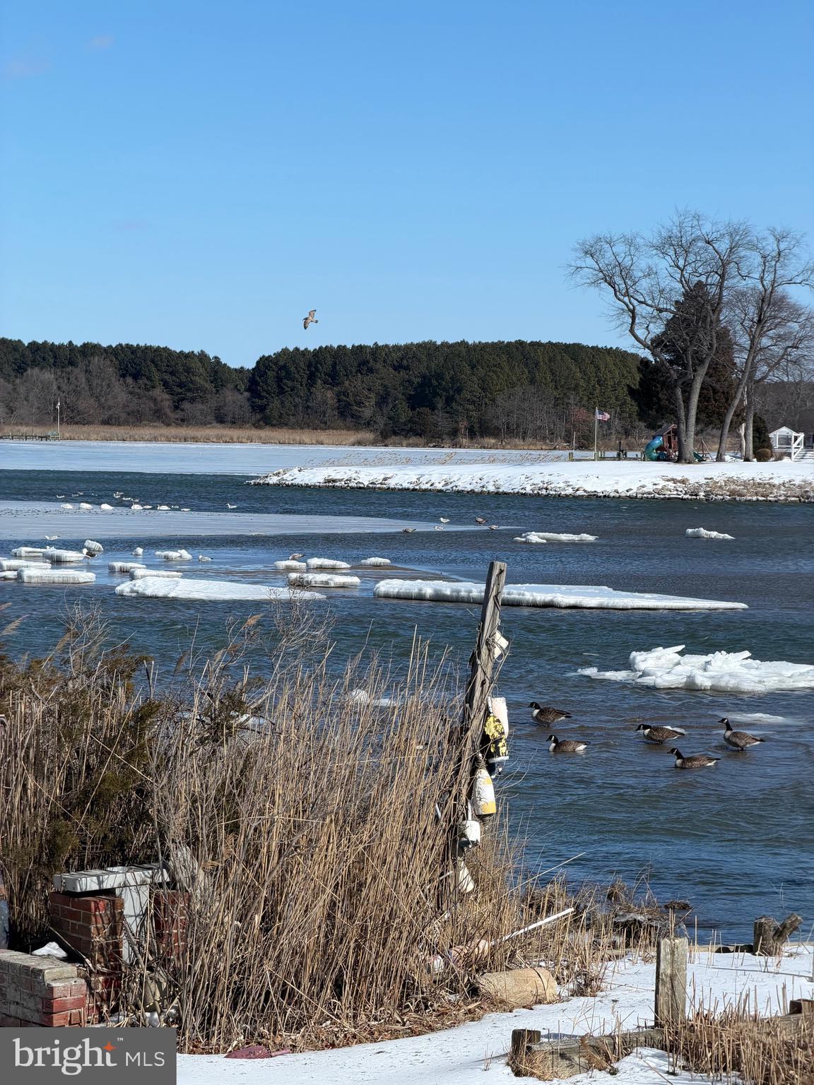 TOWER GARDENS - Residential
