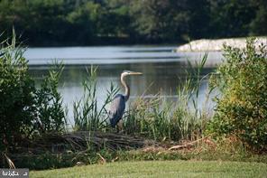 TOWER GARDENS - Residential