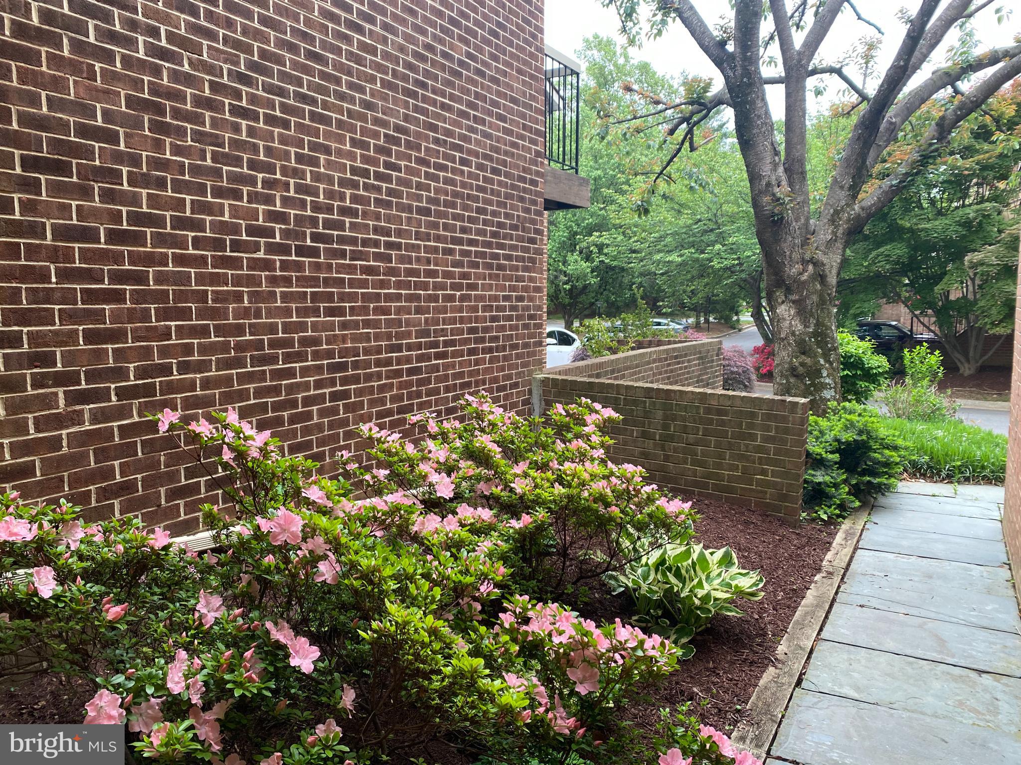 20 VALERIAN COURT