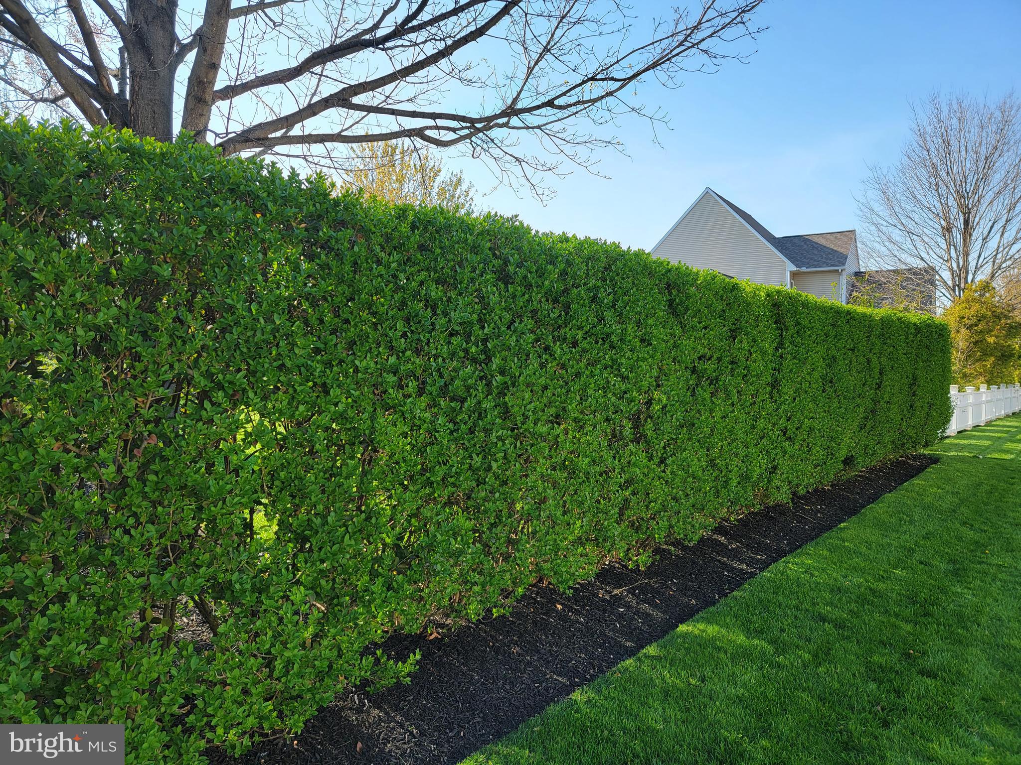 VERANDA - Residential