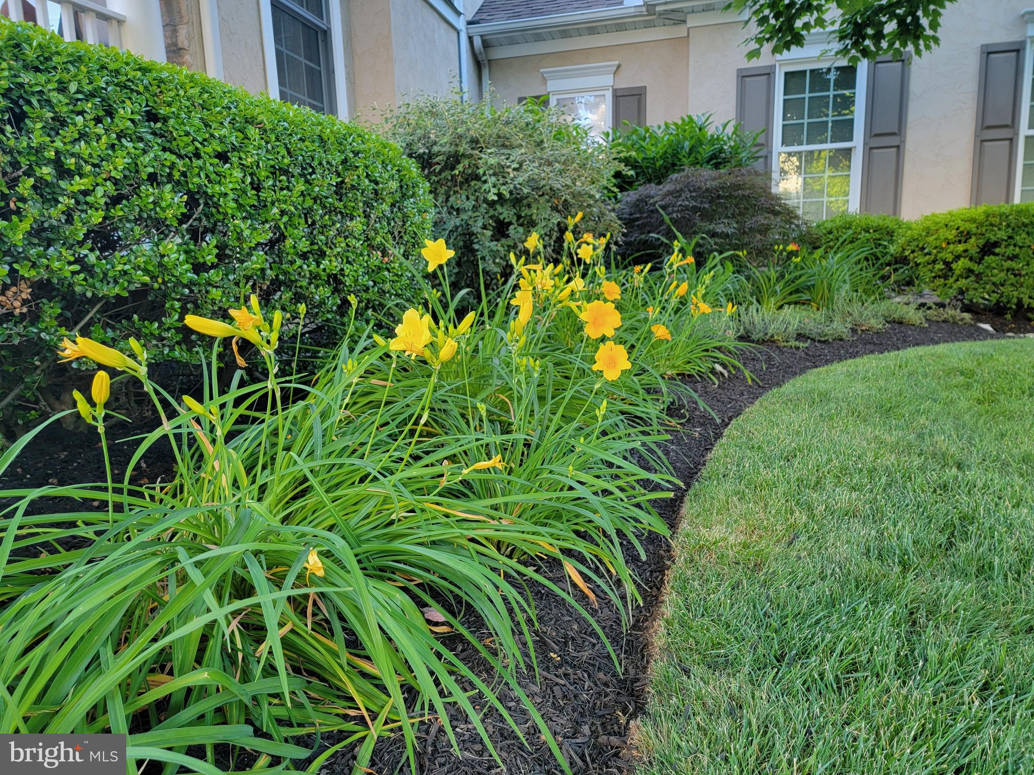 VERANDA - Residential