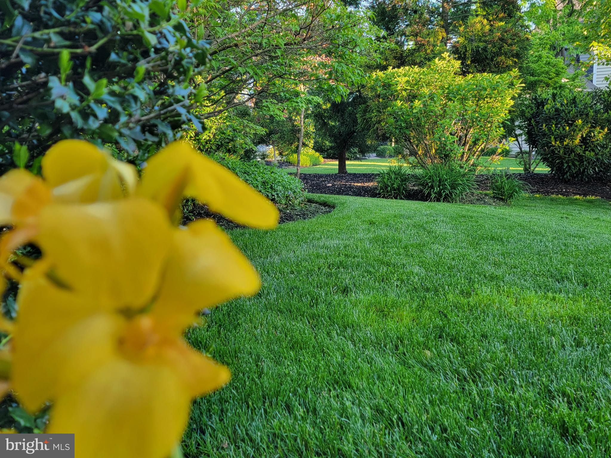 VERANDA - Residential