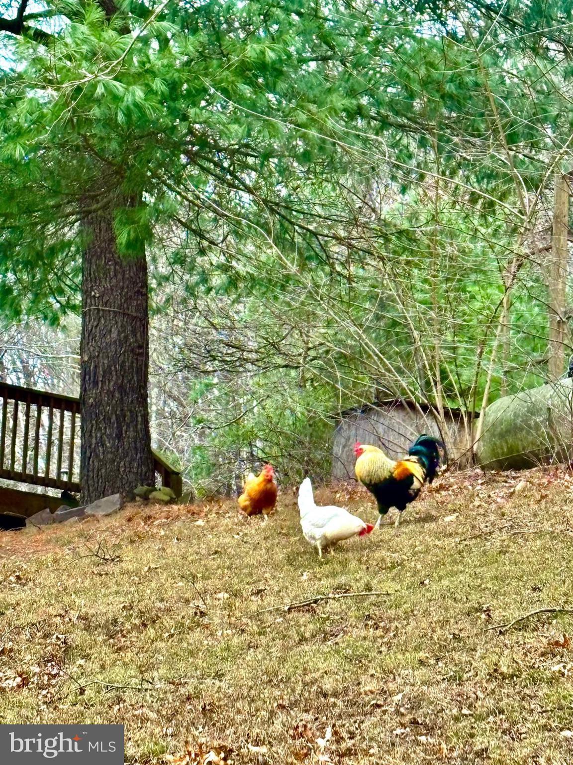 NONE UNRESTRICTED - Residential