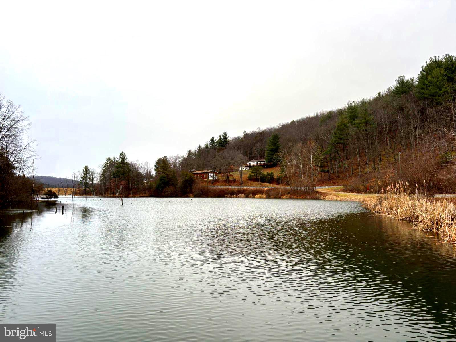 NONE UNRESTRICTED - Residential