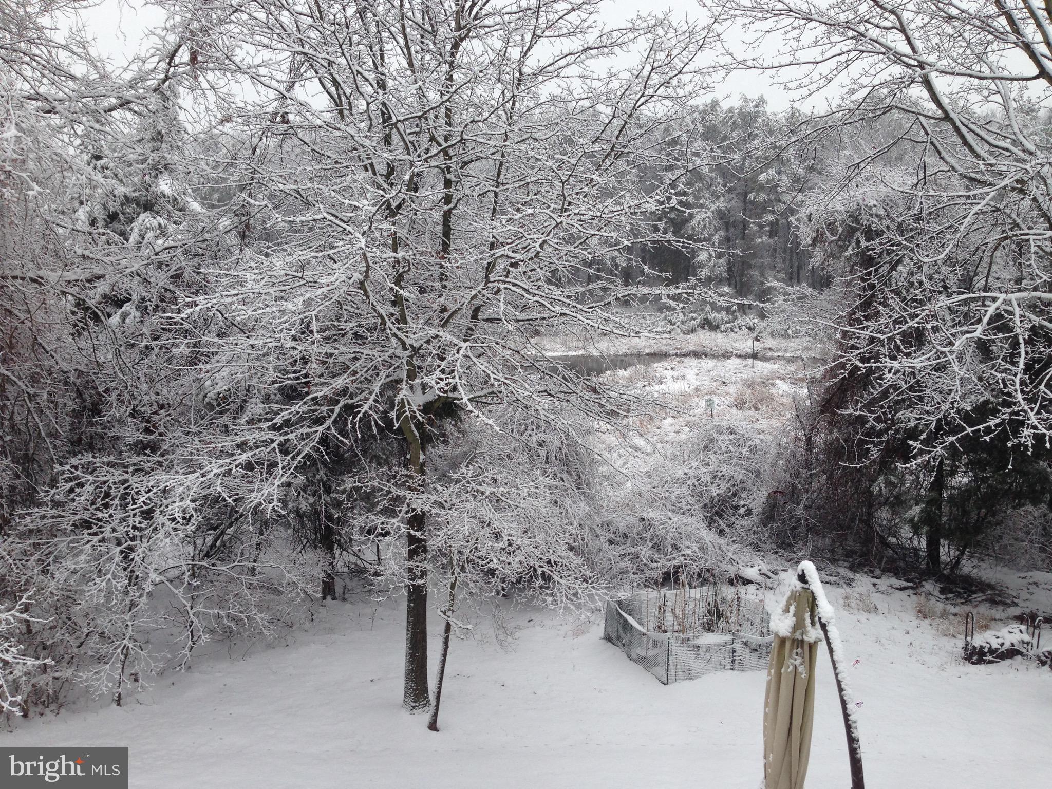 WILLOWS OF POTOMAC - Residential