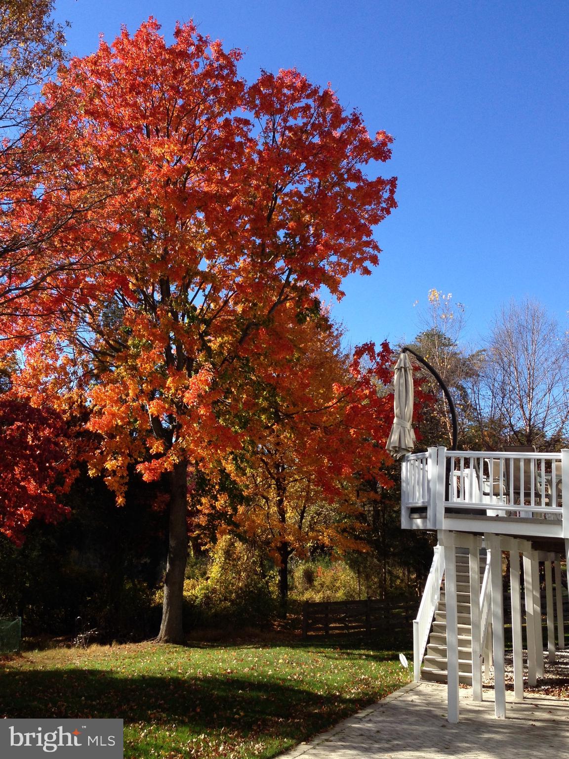 WILLOWS OF POTOMAC - Residential
