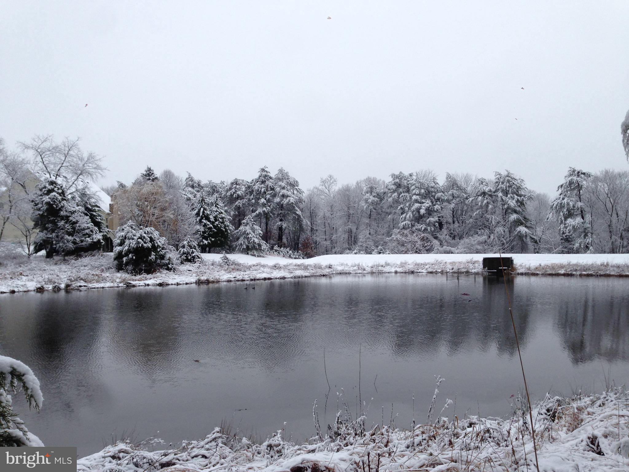 WILLOWS OF POTOMAC - Residential