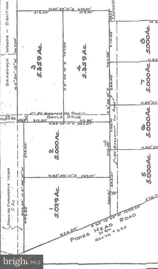 BRADDOCK WOODS - Land