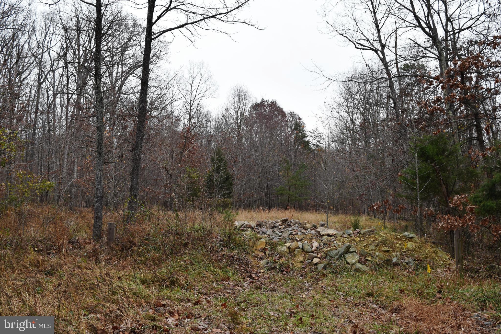 BRADDOCK WOODS - Land