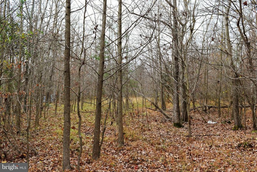 OPPORTUNITY KNOCKS!  BUILD YOUR DREAM HOME!  BUILDER / INVESTOR DELIGHT!  Approved 5 BEDROOM PERC.  Beautiful 5.3 +/- acre lot awaits your improvement. Potential property access via easement on Doyle Rd. or Salaberry St. Road improvement needed. Zoned RC. Lot #4.  With application, county cert. letter may convert to build permit if w/in 18 mos. of letter date. HURRY, WON'T LAST. CALL YOUR BUILDER!