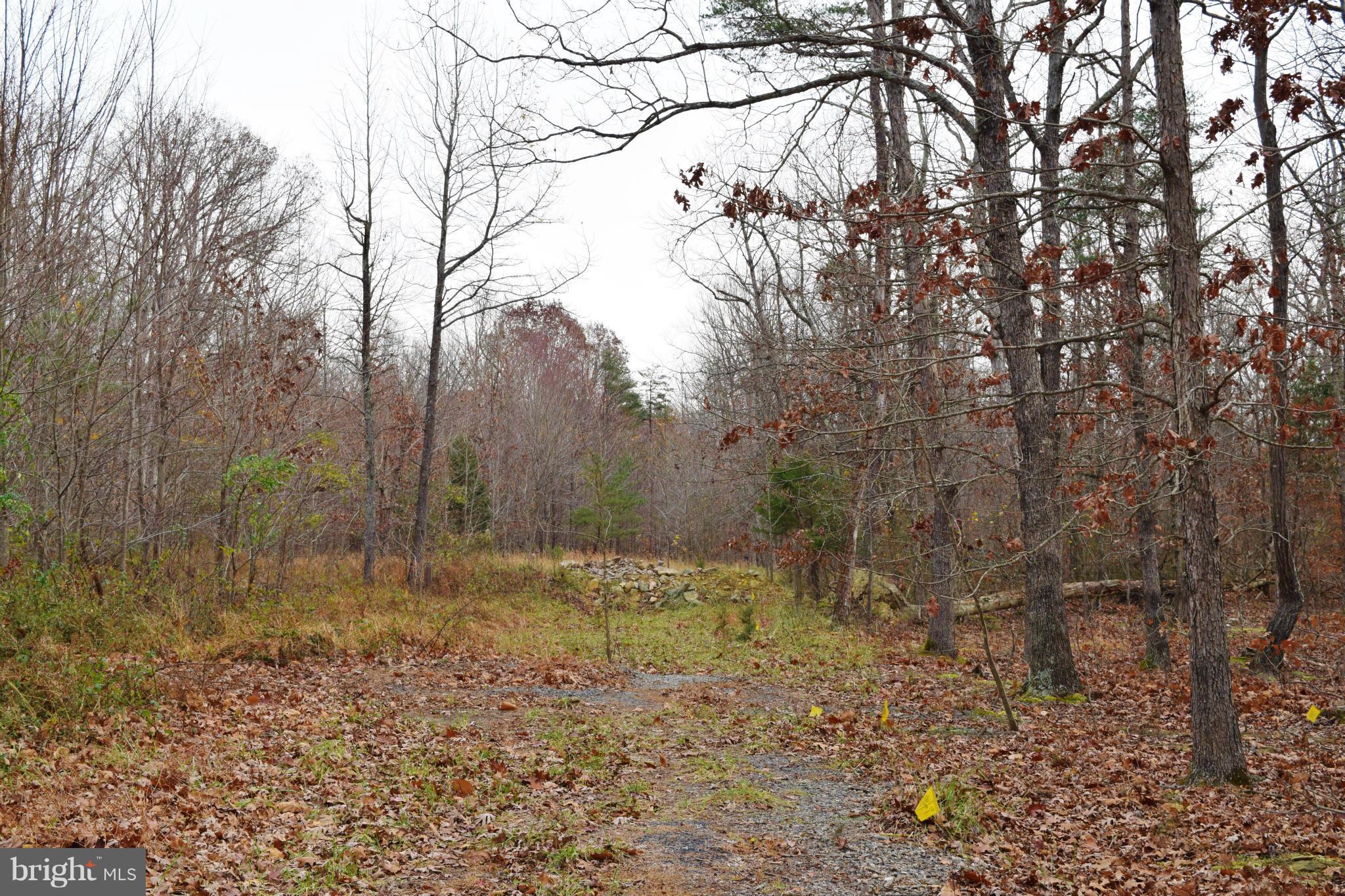 BRADDOCK WOODS - Land