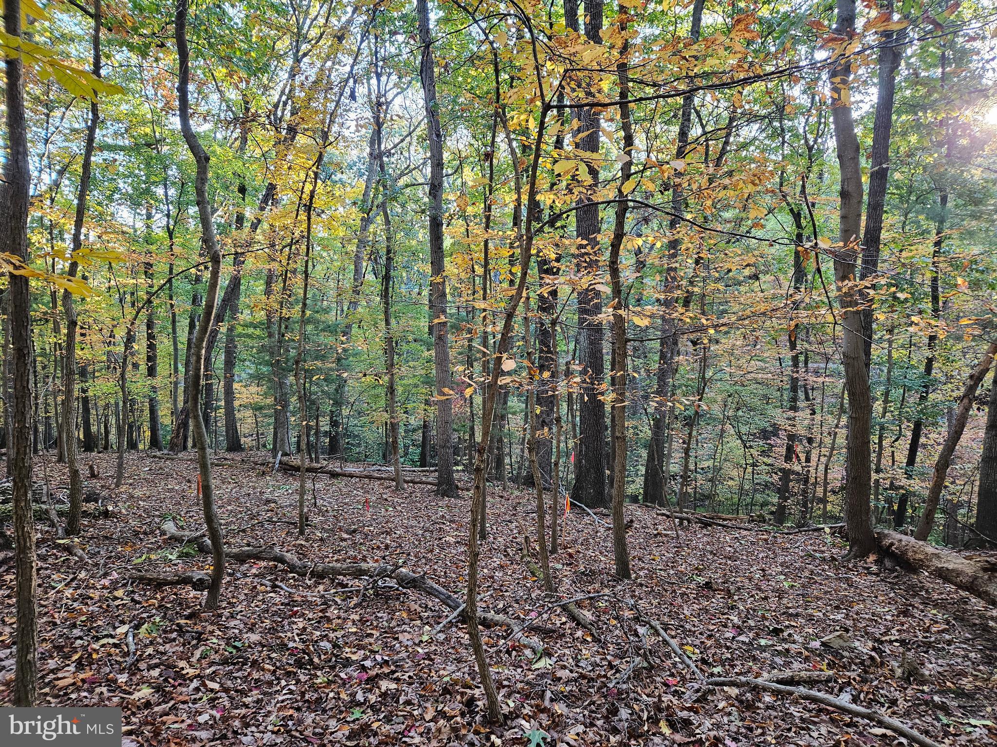 SHENANDOAH RETREAT - Land