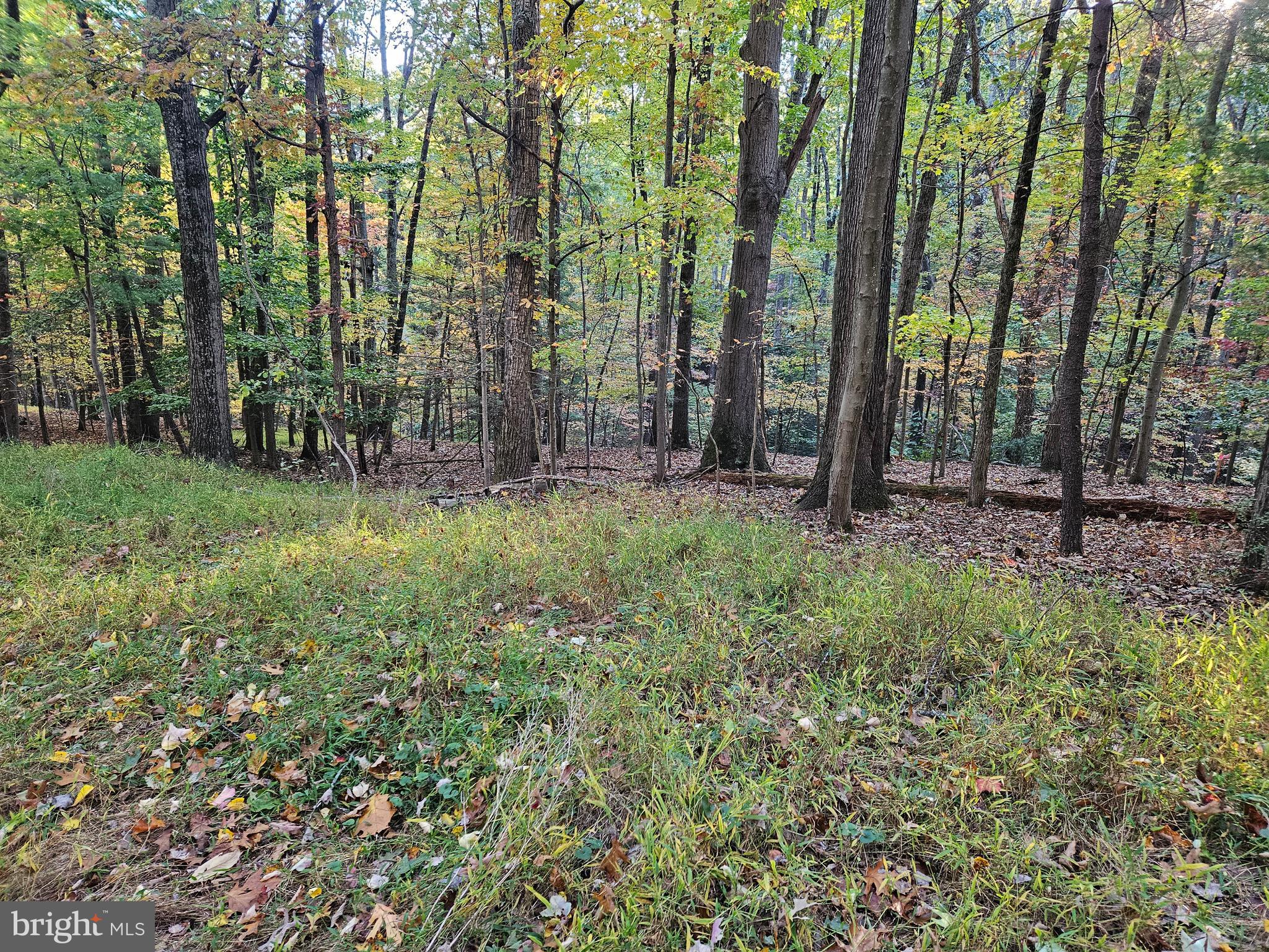 SHENANDOAH RETREAT - Land