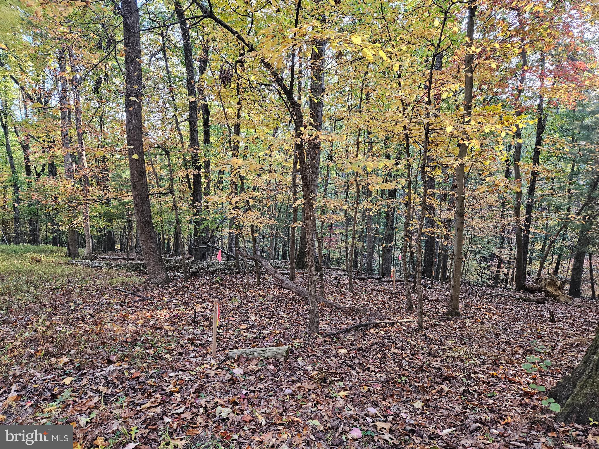 SHENANDOAH RETREAT - Land