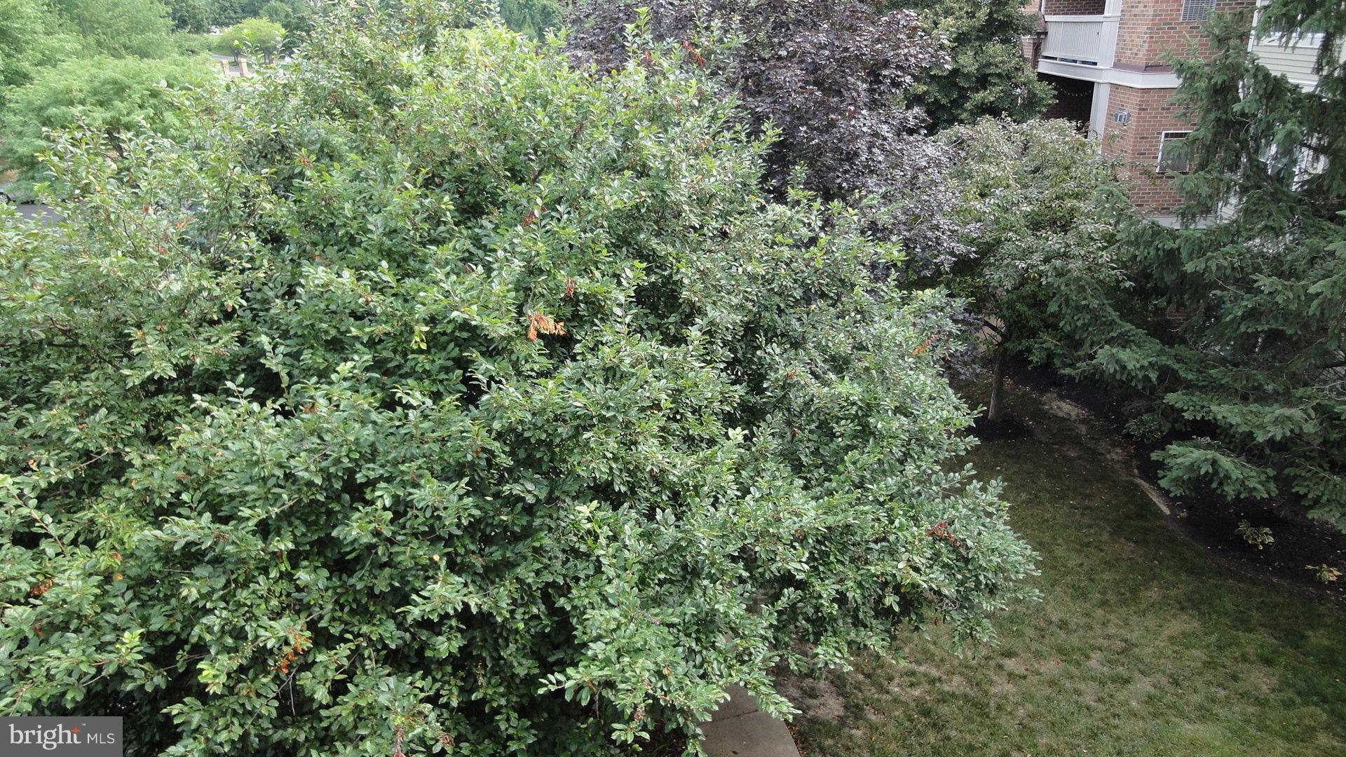 STRATFORD PLACE AT KINGS - Residential