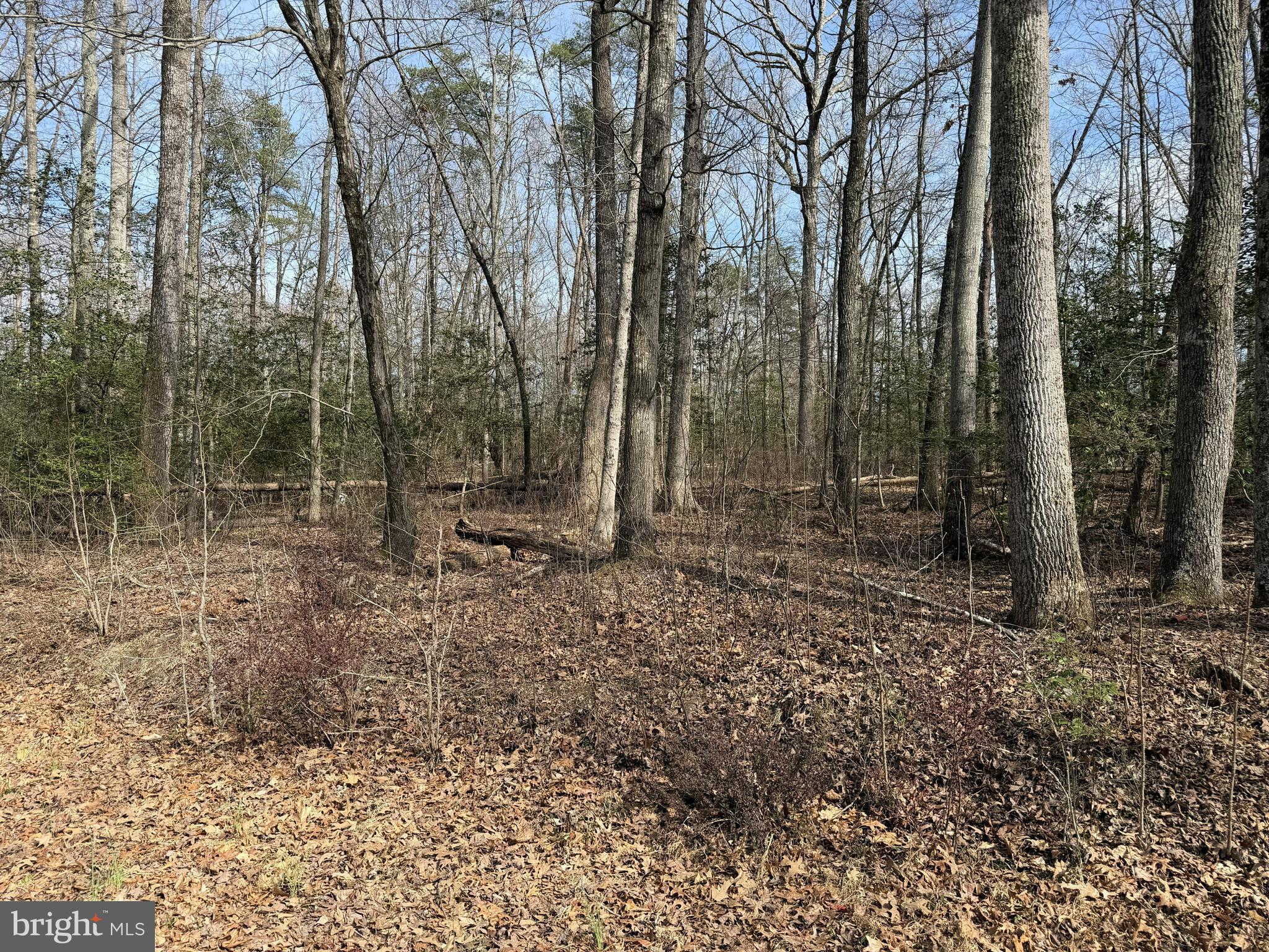 Lot 8A PARK AVE