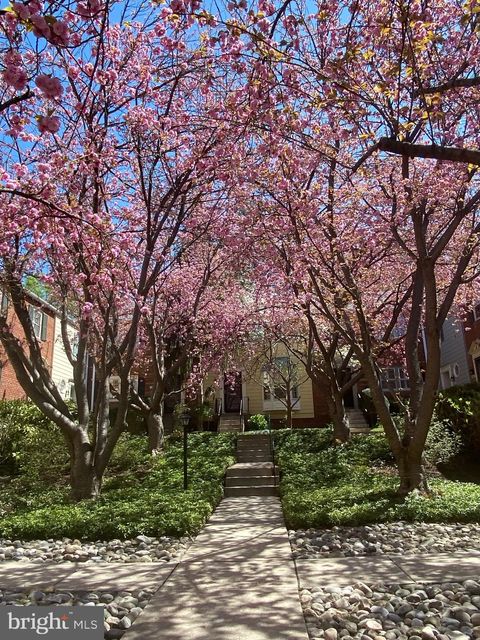 Photo of 4833 Willett Parkway #78, CHEVY CHASE, MD 20815 (MLS # MDMC2187570)