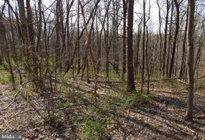 Build your dream vacation cabin on this 2.08 wooded acres. Or your permanent residence. Desirable area of Berkley Springs, WV. Property has been perked for 3 Bedroom septic system. Bring your building plans and start making family memories in the country. Priced at $30,000.. Additional parcels available. Call today for more information.